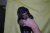 Puppies J